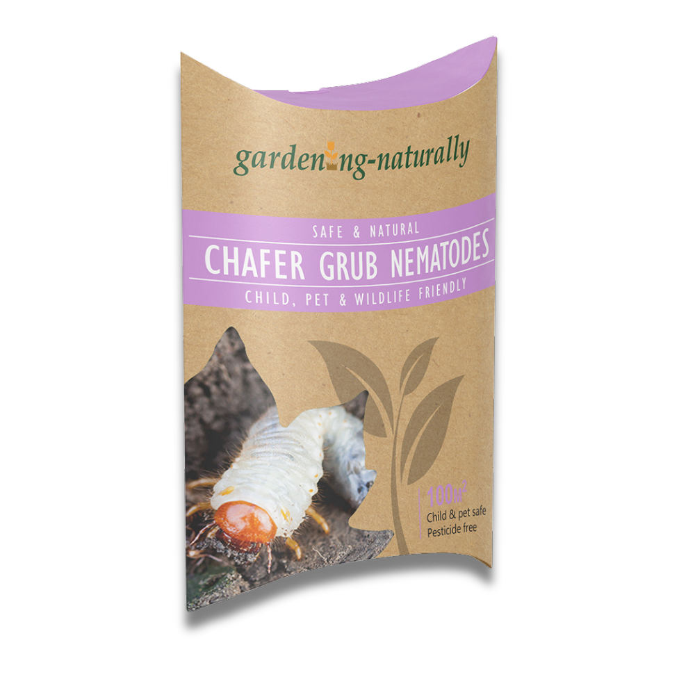 Chafer-Grub-Nematodes-Gardening-Naturally
