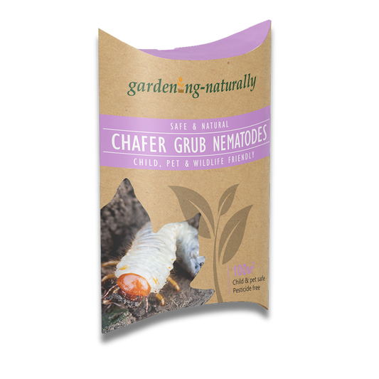 Chafer-Grub-Nematodes-Gardening-Naturally