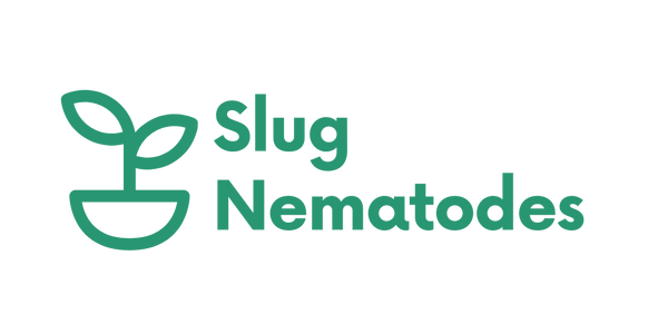 Slug Nematodes