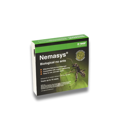 Nemasys Ant Nematodes BASF - Garden Netting