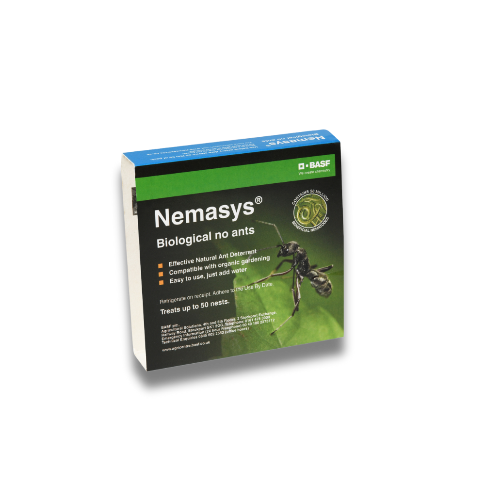 Ant Nematodes Nemasys