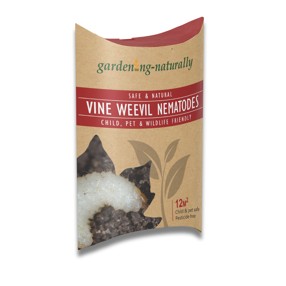 Vine Weevil Nematode - Garden Netting