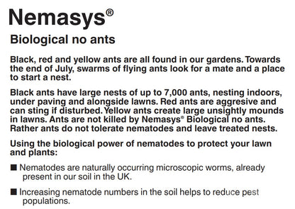 Ant Nematodes Nemasys