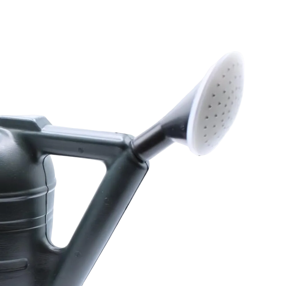 Gray watering can with a white nozzle on a white background
