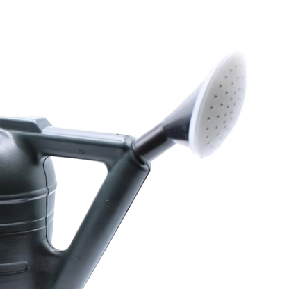 Gray watering can with a white nozzle on a white background