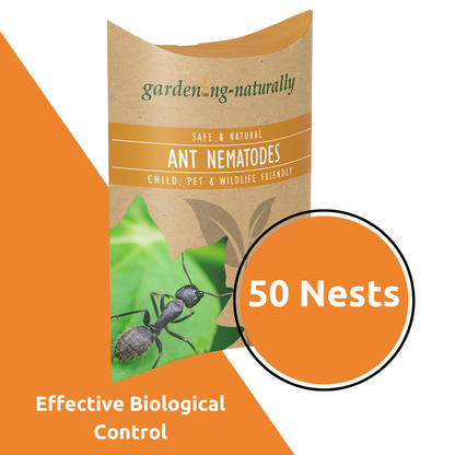 ant-nematodes-50-nests