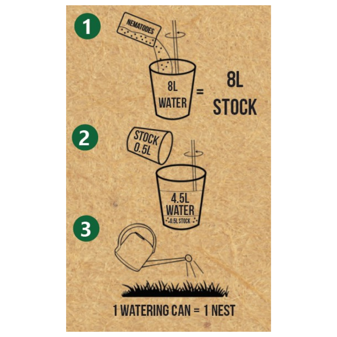 mixing-nematodes-with-water