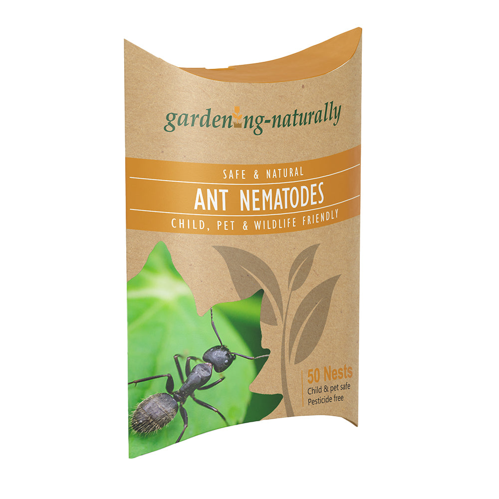 Ant nematodes for treating 50 nests