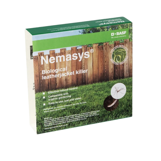 Leatherjacket Nematodes UK | Treat Crane Fly Larvae in Lawns Nemasys