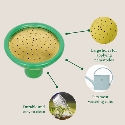 coarse-rose-for-nematodes with large holes