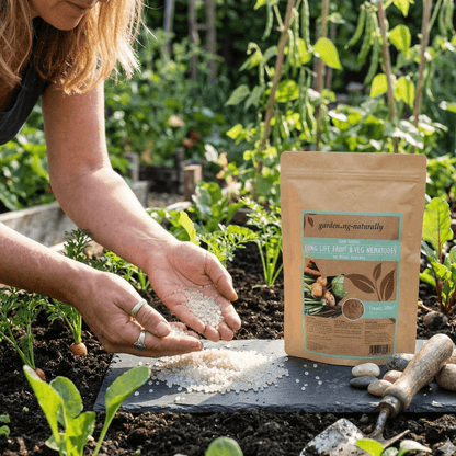Person in a garden applying nematode pearls with a package labeled 'Garden Naturally' in the foreground.