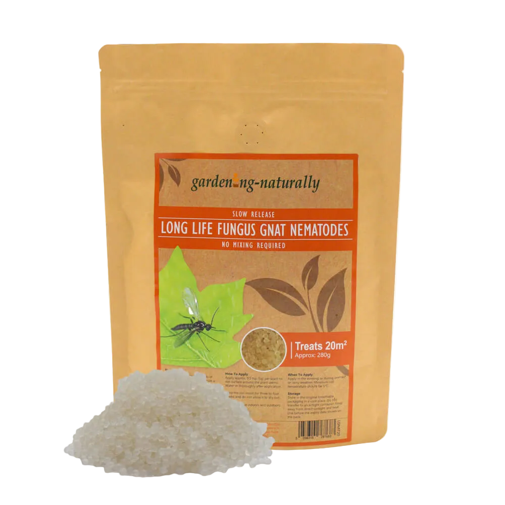 Package of 'garden-naturally' long life fungus gnat nematodes on a white background