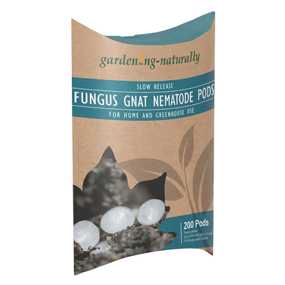Pack of fungus gnat nematode slow realease pods