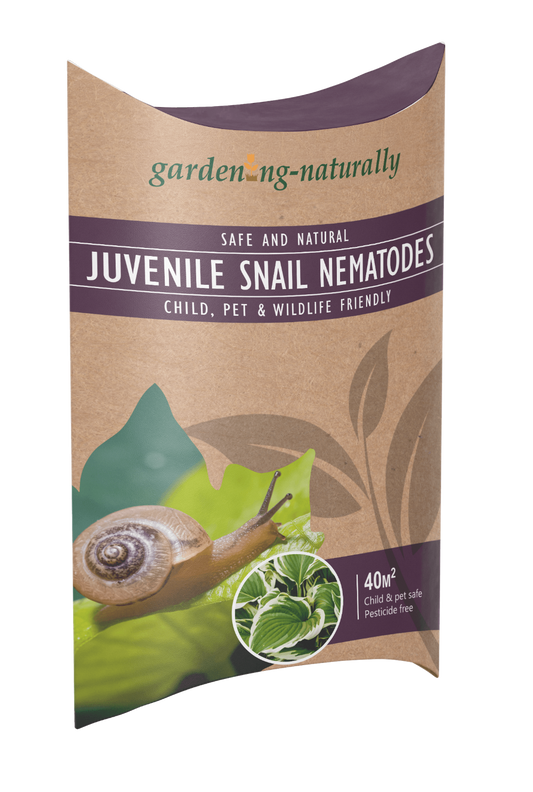juvenile snail nematodes packet, purple gardening naturally