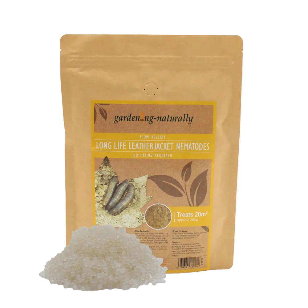 Package of gardening-naturally long life leatherjacket nematodes on a white background