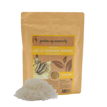 Package of gardening-naturally long life leatherjacket nematodes on a white background