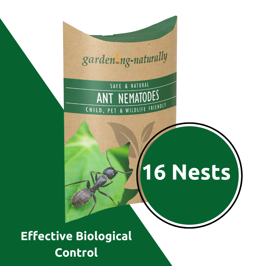 Gardening Naturally packet of ant nematodes