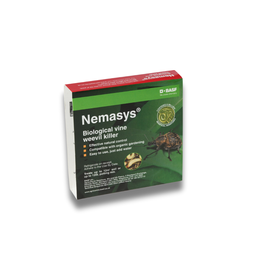 vine-weevil-nemasys-nematodes