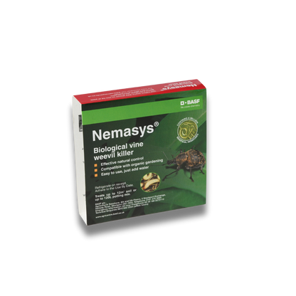 vine-weevil-nemasys-nematodes